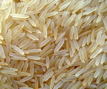 Brown Basmati Rice